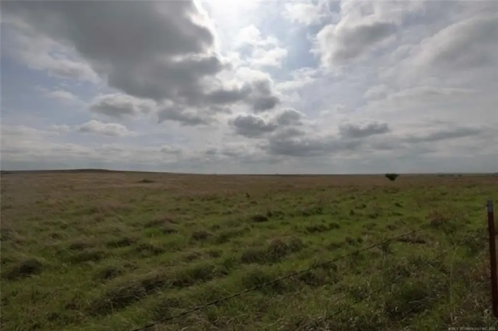 Picture 16