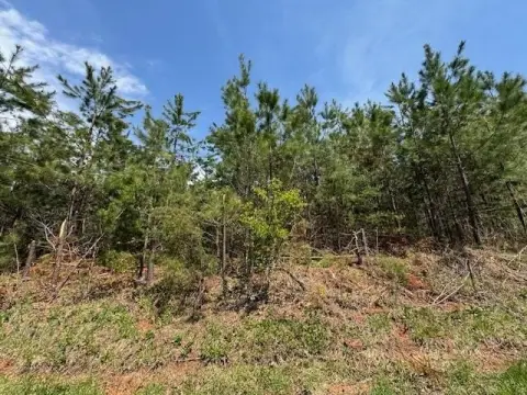 Concord, VA Land Opportunity