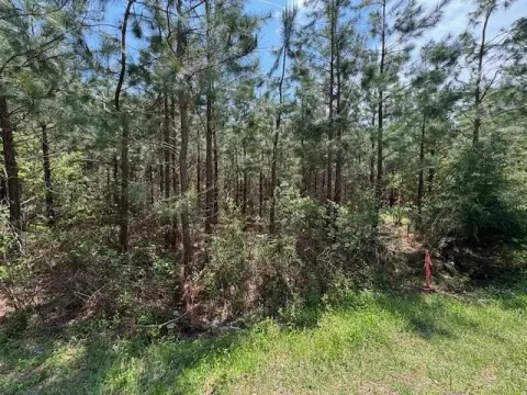 Concord, VA Land Opportunity