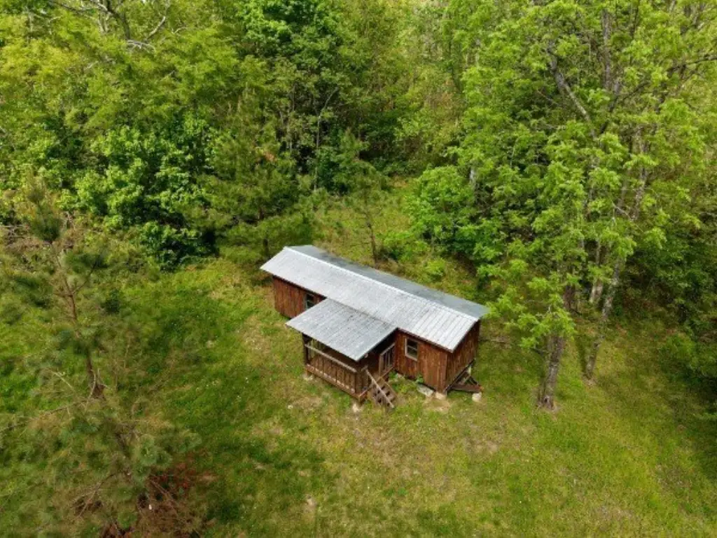 Picture 5
