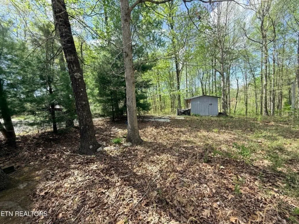 Picture 5