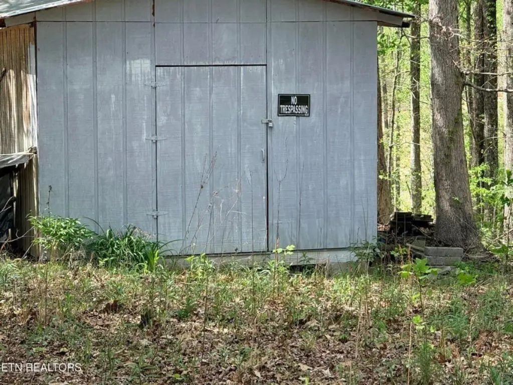 Picture 9