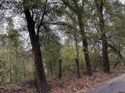 Pittsburg, TX Rural Acreage