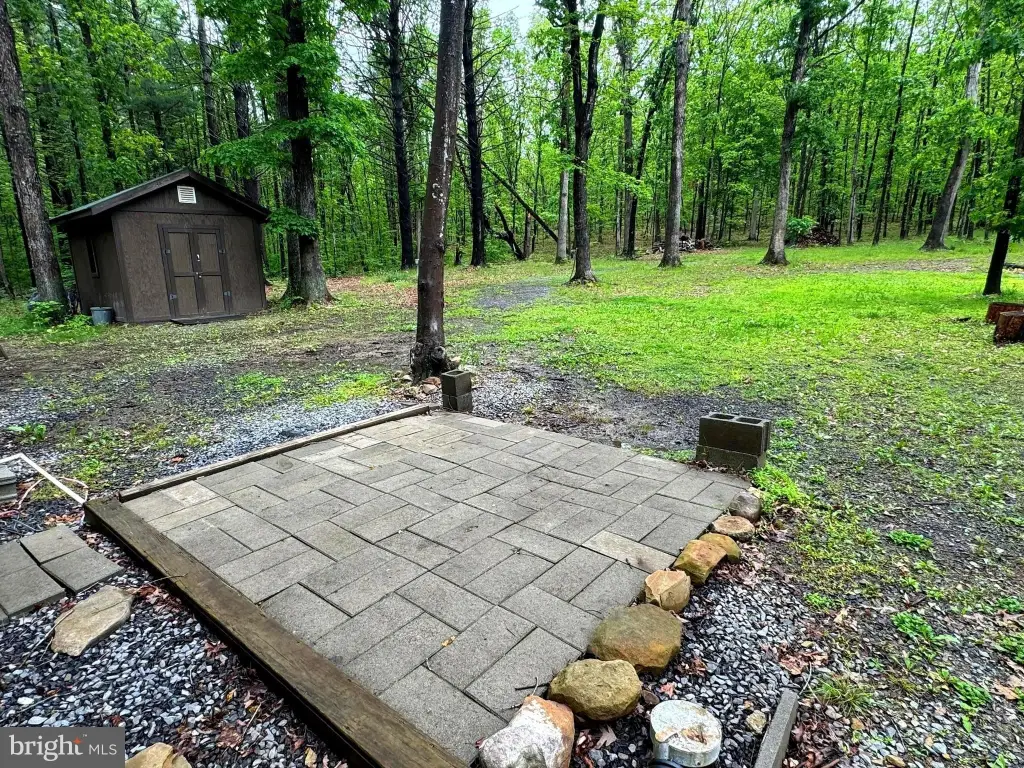 Picture 8