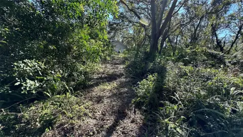 Palm Harbor Executive Acreage Opportunity