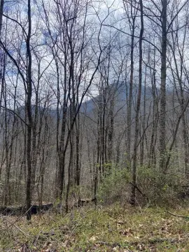 Land Near Tuckasegee River