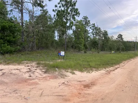 Vacant Land in Hawthorne, Florida