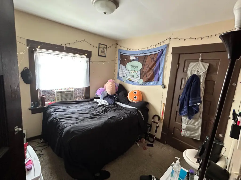 Picture 31
