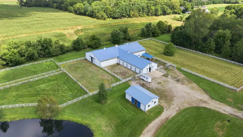 Picture 51