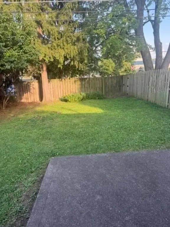 Picture 17