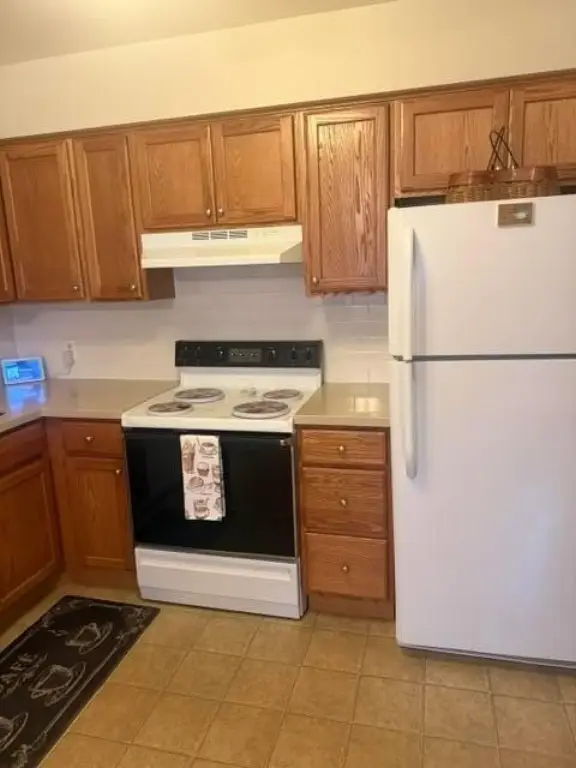 Picture 14