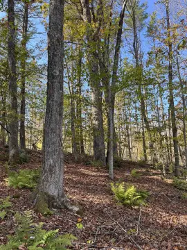 Recreation Land with Long-Distance Views