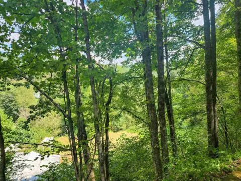 Recreational Land with Wooded Hills