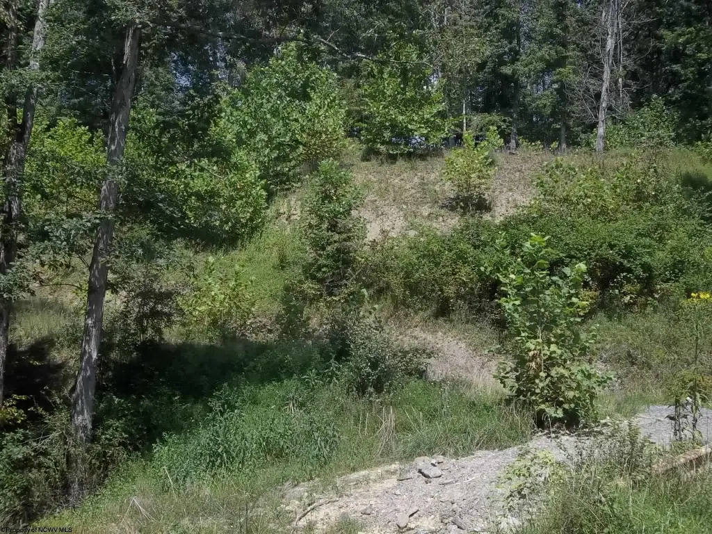 Picture 18