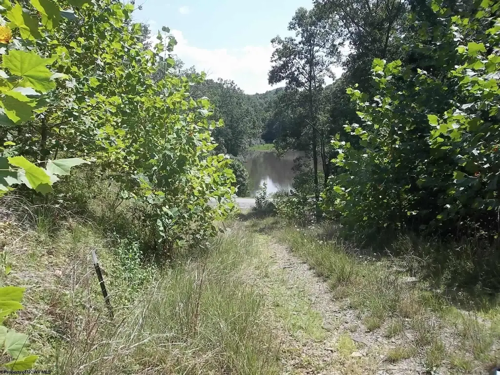 Picture 22