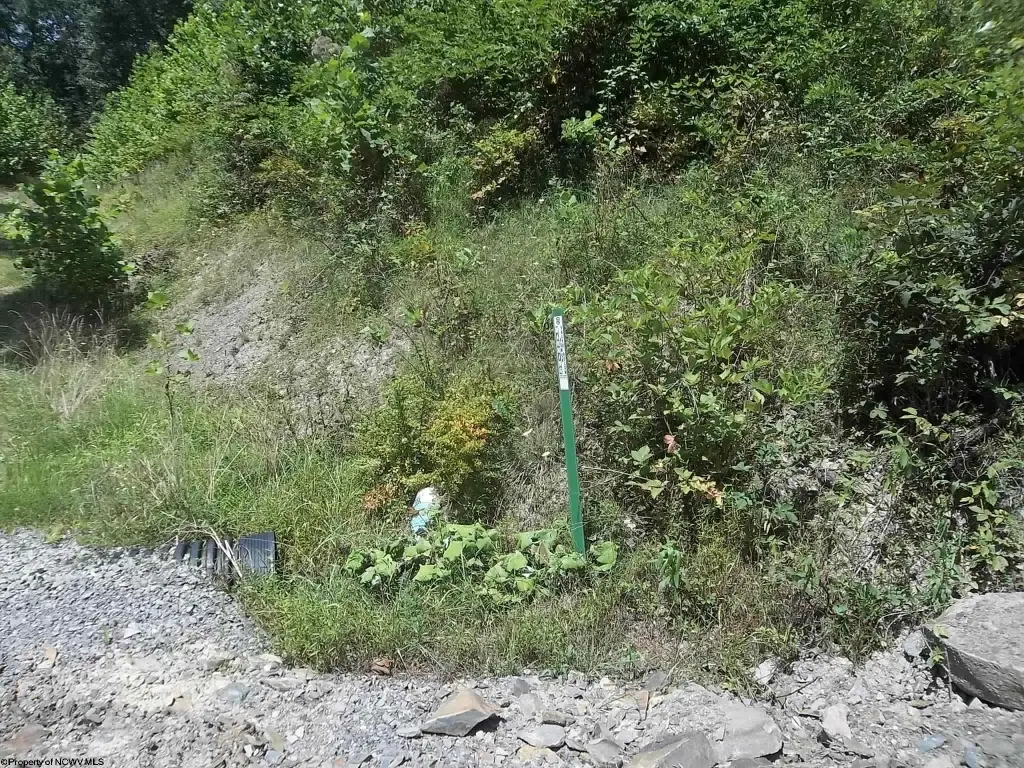 Picture 15