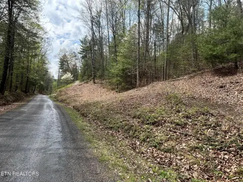 Vonore, TN Land Parcel