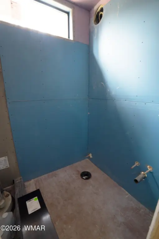 Picture 24