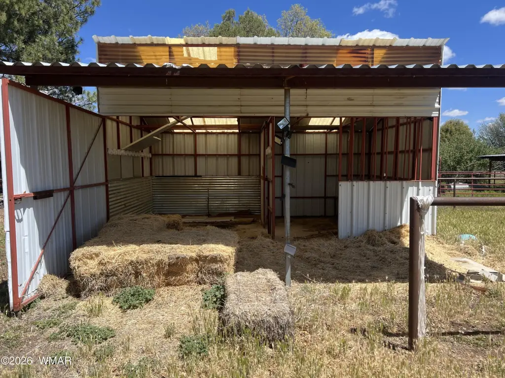 Picture 18