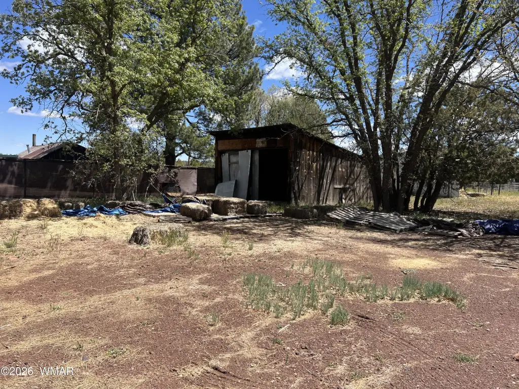 Picture 19
