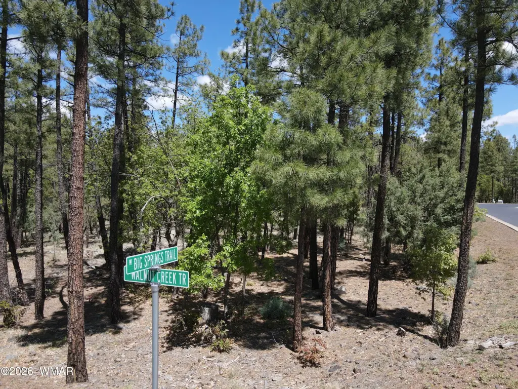 Picture 24