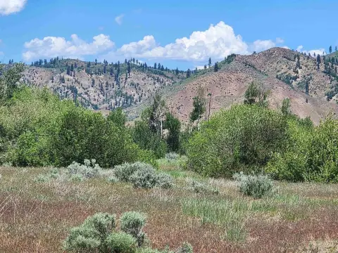 Recreation Land with Creek