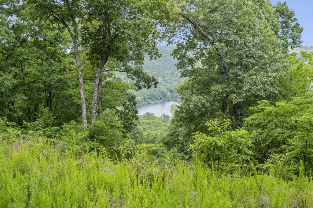 Picture 20