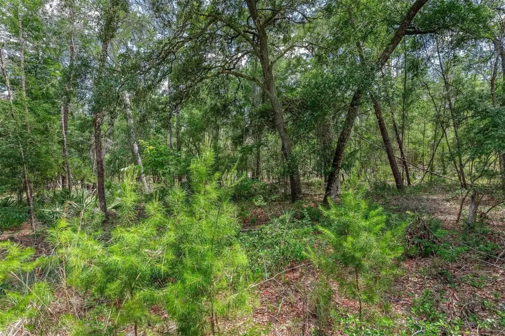 Picture 20