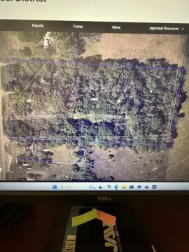 8.55 Acres with Mature Trees