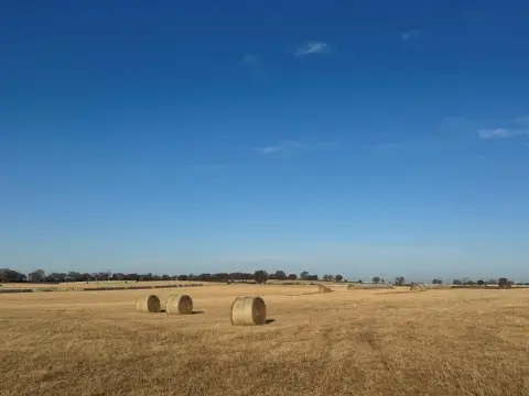 20 Acres of Texas Land