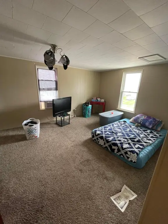 Picture 8
