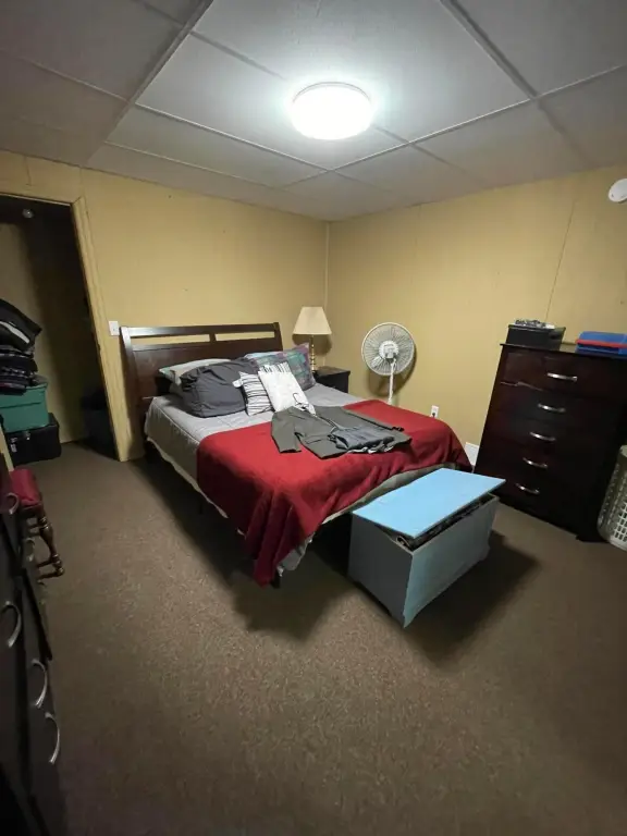 Picture 5