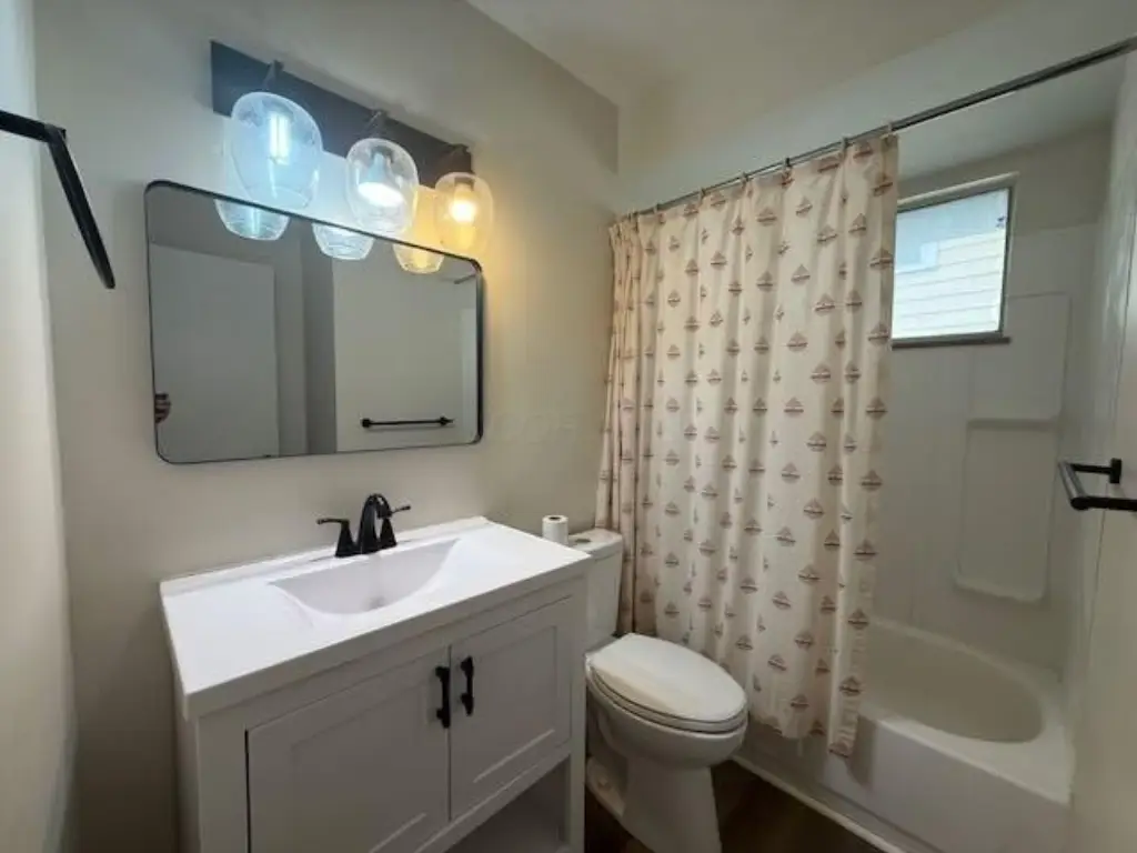 Picture 8