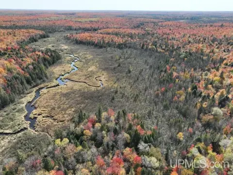 399 Acres in Upper Peninsula