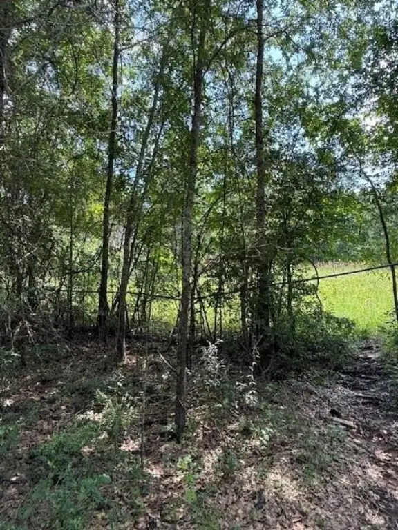 Picture 4