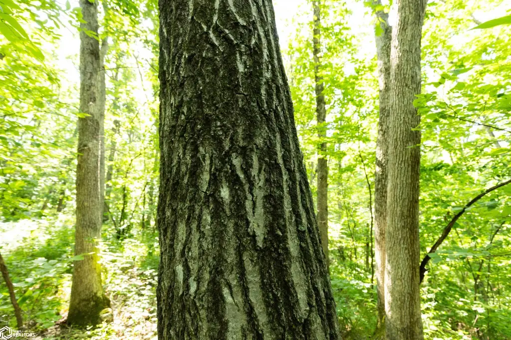 Picture 46