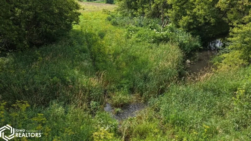 Picture 23