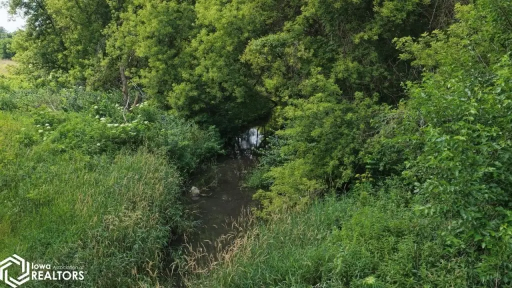 Picture 22