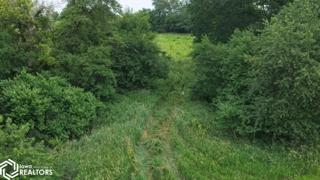 Picture 10
