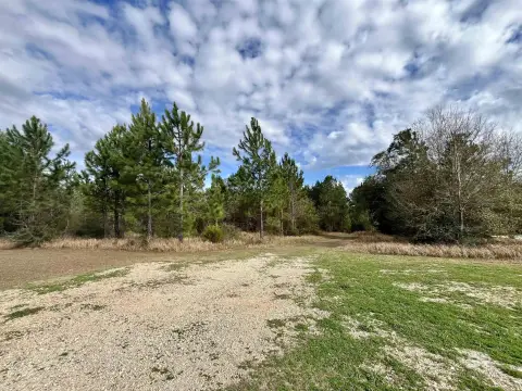 37.5 Acres on Fish River