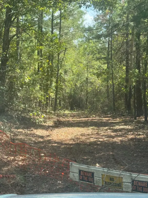 Picture 4