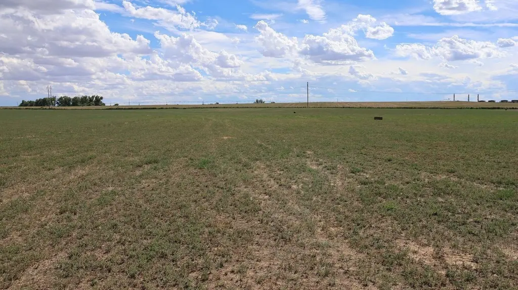 Picture 25