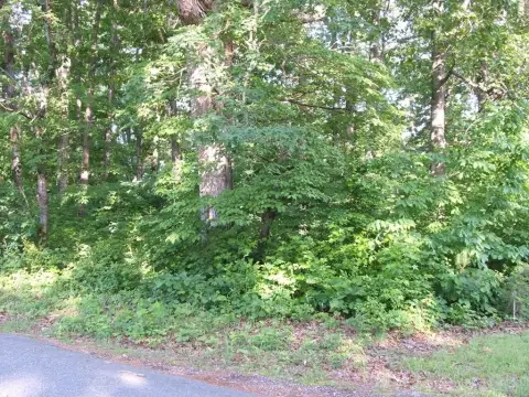Wooded Lot in Merry Oaks