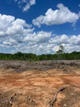 Land Parcel in Keysville, Virginia