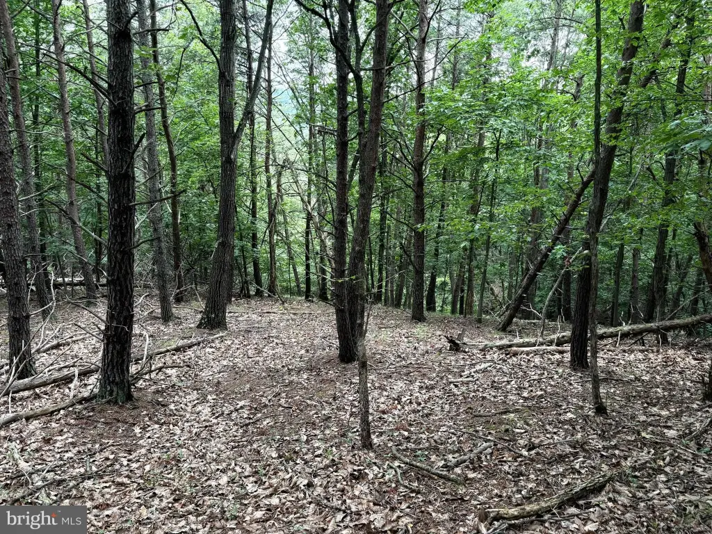 Picture 11