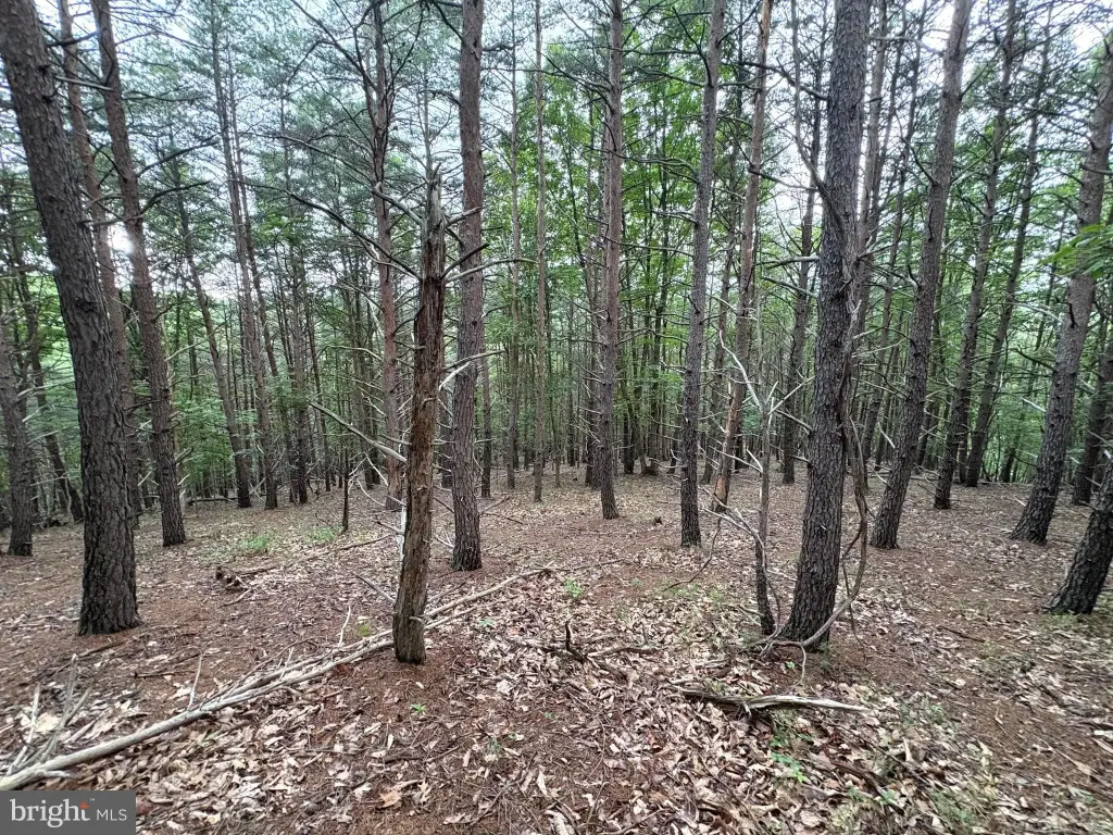 Picture 7