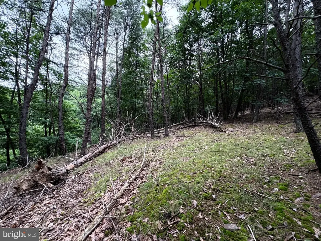 Picture 14
