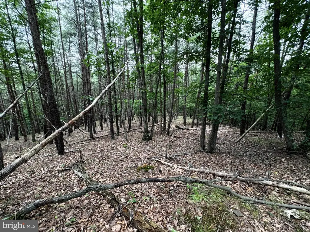 Picture 16