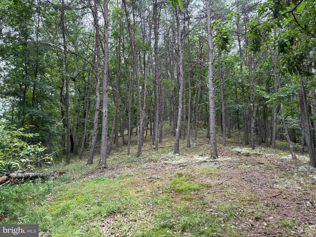 Picture 5