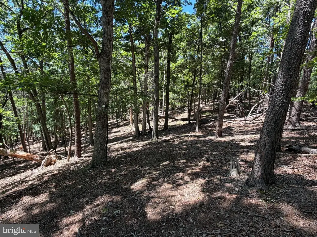 Picture 46